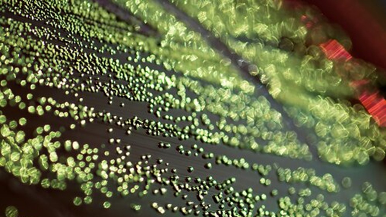 South Korean researchers develop breakthrough technique to unlock microbes' hidden genetic potential