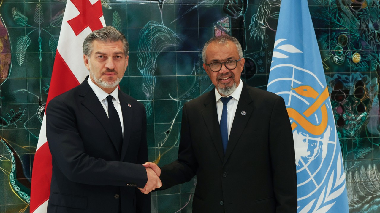 Georgia and WHO reaffirm commitment to stronger healthcare partnership